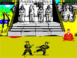 In game image of International Karate on the Sinclair ZX Spectrum.