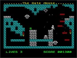 In game image of Page's Castle Quest on the Sinclair ZX Spectrum.