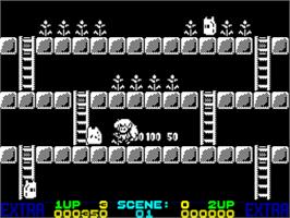 In game image of Rodland on the Sinclair ZX Spectrum.