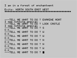In game image of Sorcerer Of Claymorgue Castle on the Sinclair ZX Spectrum.