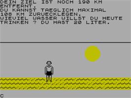 In game image of Survival on the Sinclair ZX Spectrum.