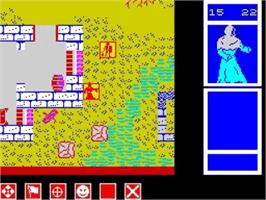 In game image of Swords Of Bane on the Sinclair ZX Spectrum.