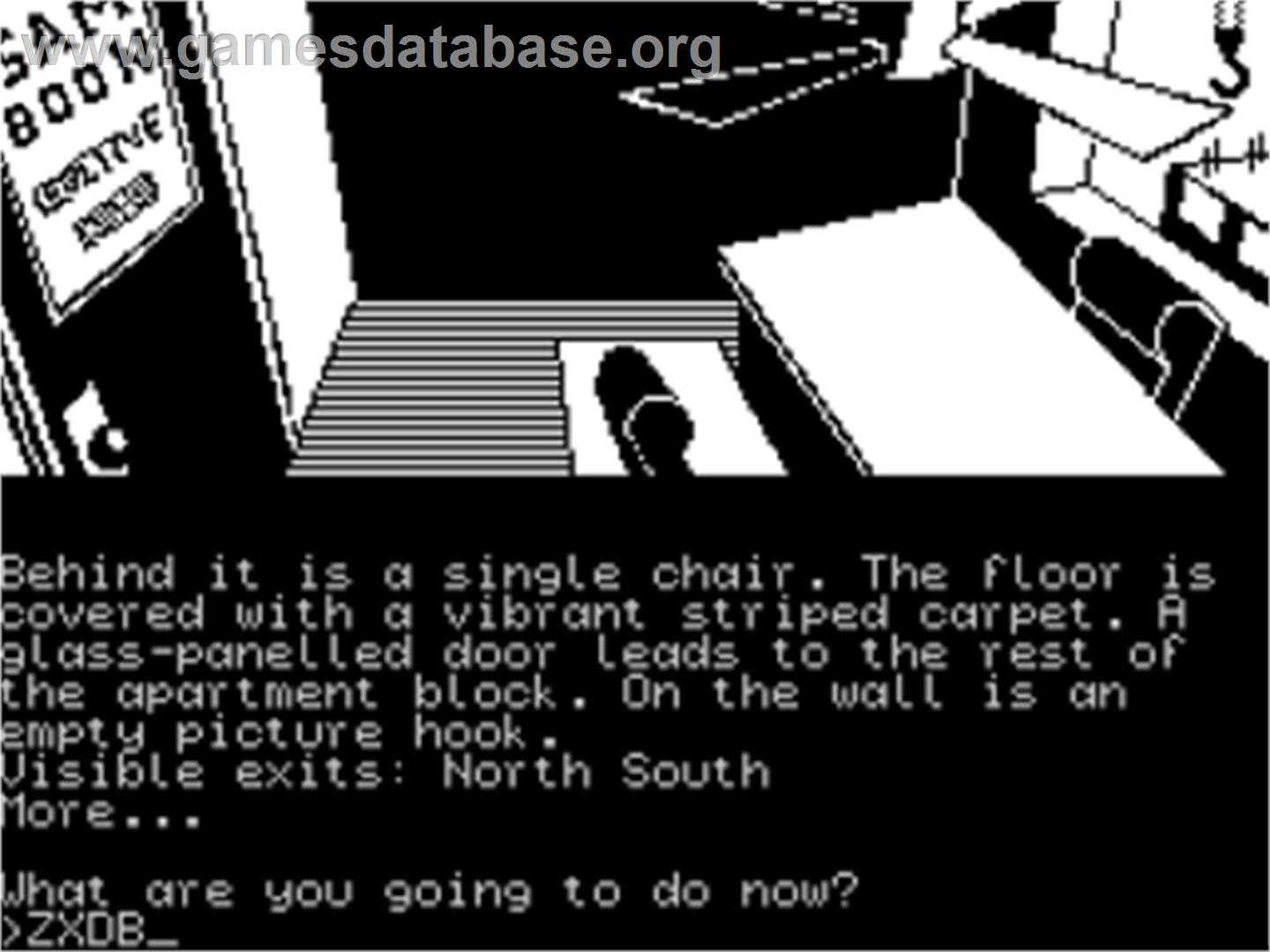 A Case of Murder - Sinclair ZX Spectrum - Artwork - In Game