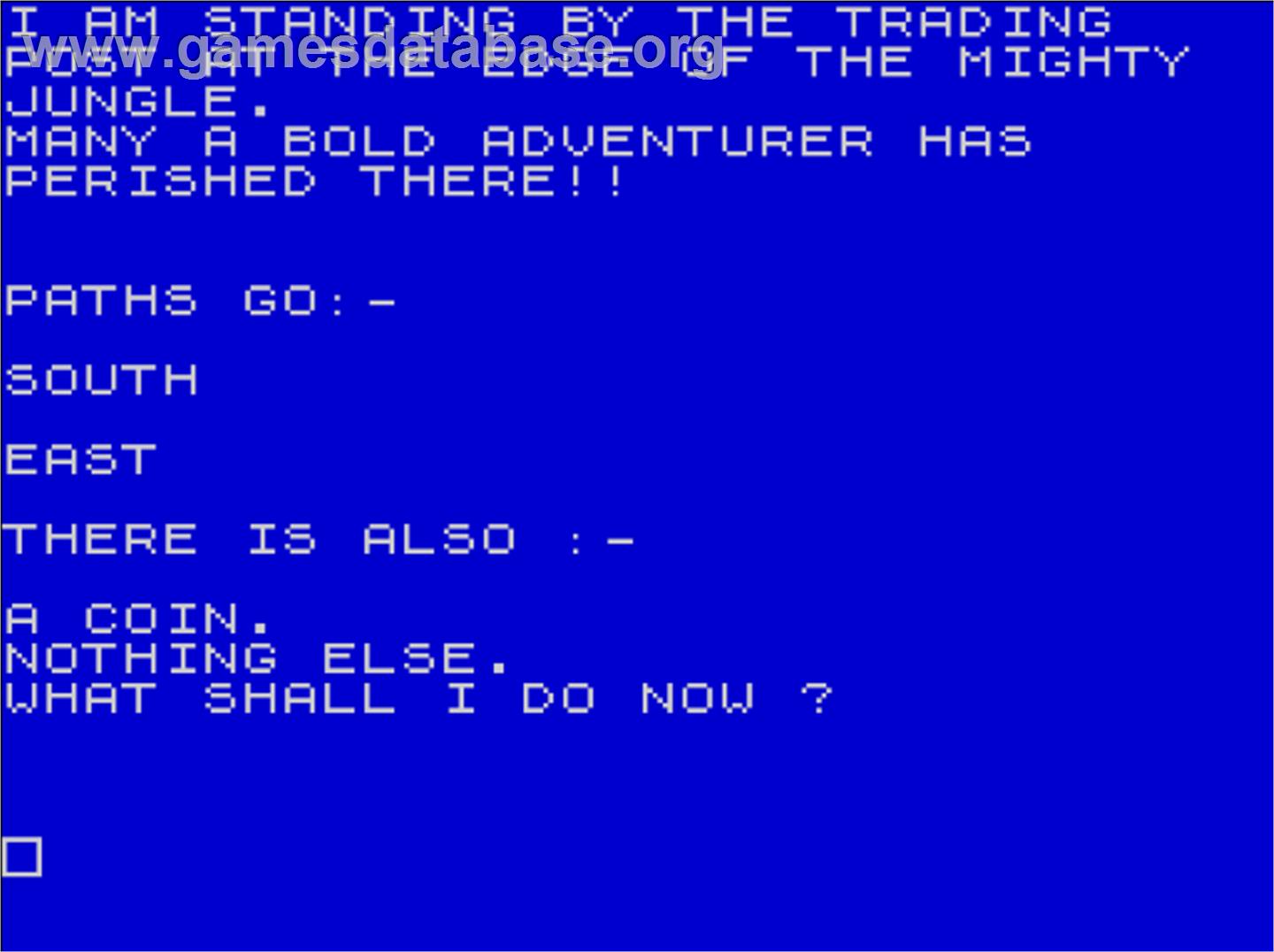 Adventure 100 - Sinclair ZX Spectrum - Artwork - In Game