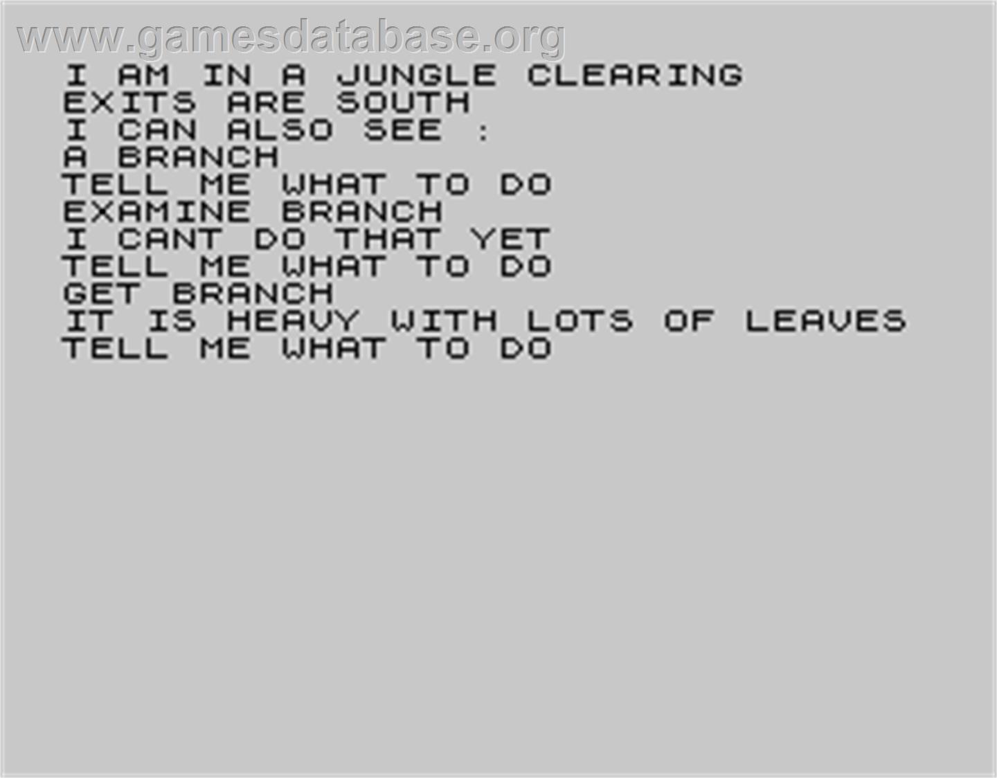 Adventure B: Inca Curse - Sinclair ZX Spectrum - Artwork - In Game