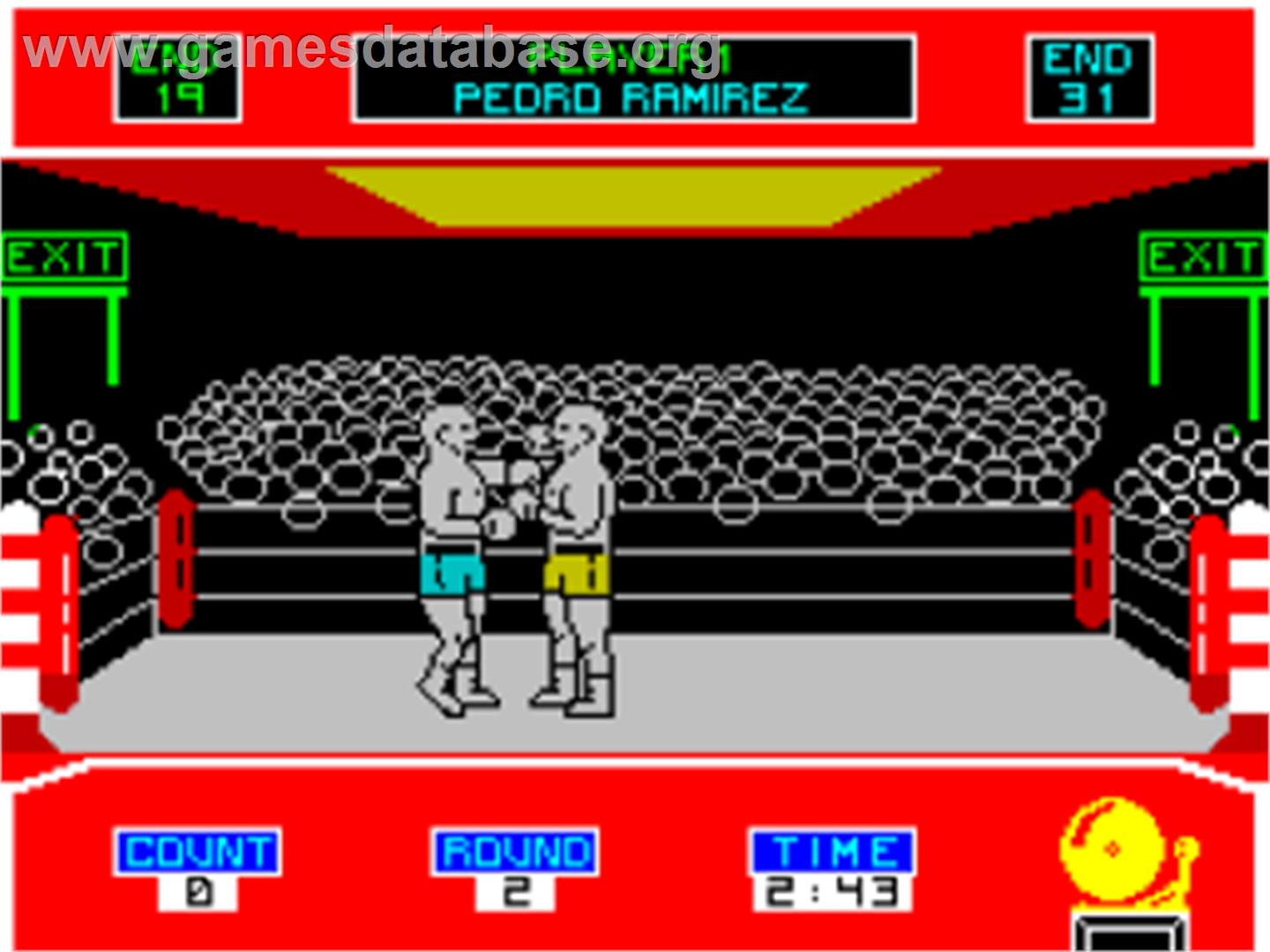 Barry McGuigan World Championship Boxing - Sinclair ZX Spectrum - Artwork - In Game