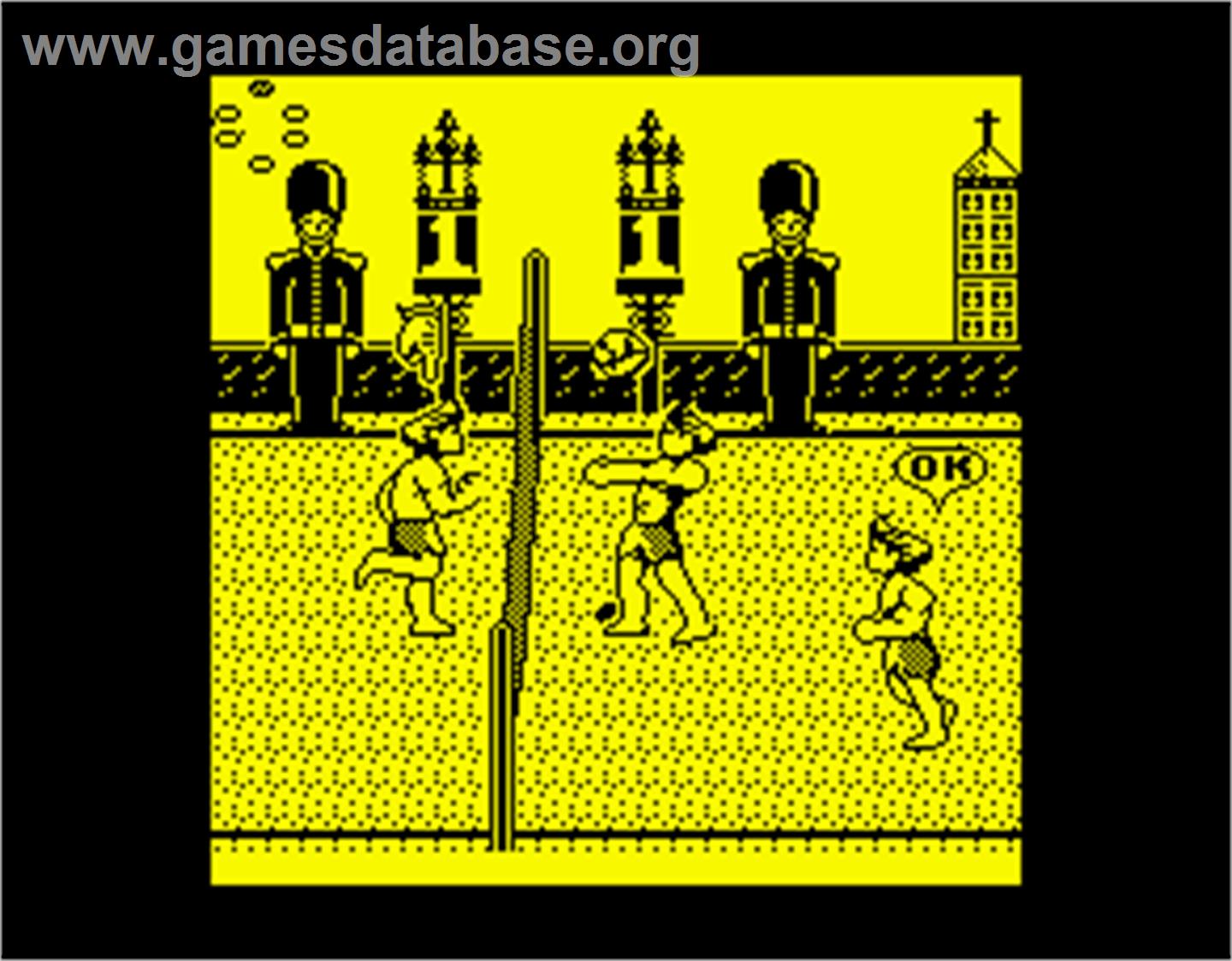 Beach Volley - Sinclair ZX Spectrum - Artwork - In Game