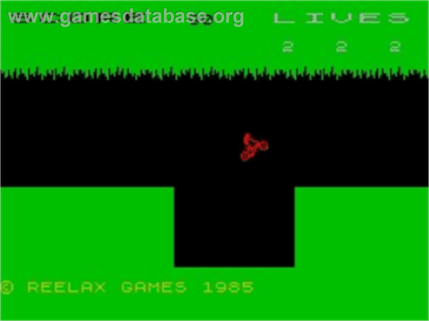 Bmx Jungle Bike - Sinclair ZX Spectrum - Artwork - In Game