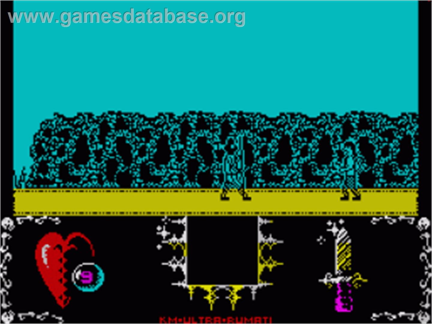 Cesta Bojovnika - Sinclair ZX Spectrum - Artwork - In Game