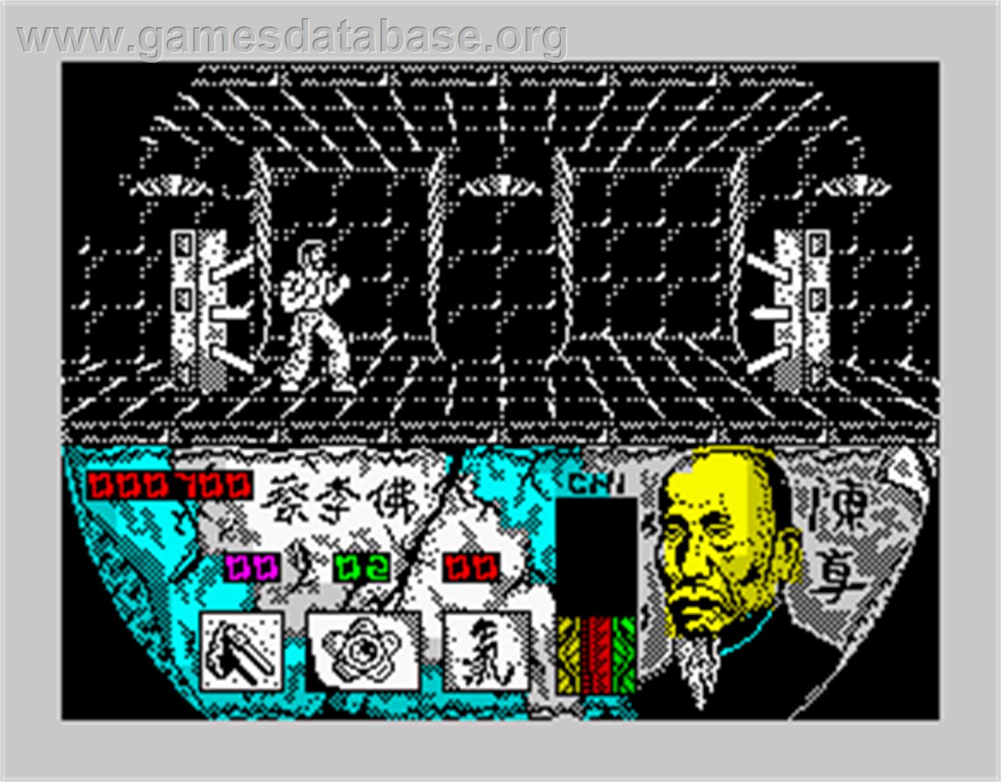 Choy-Lee-Fut Kung-Fu Warrior - Sinclair ZX Spectrum - Artwork - In Game