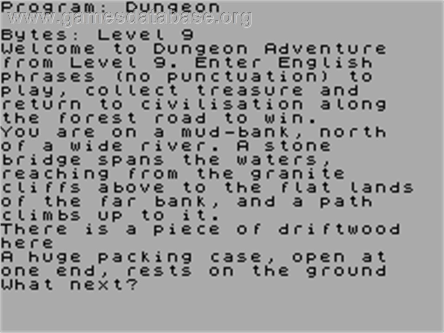 Dungeon Adventure - Sinclair ZX Spectrum - Artwork - In Game