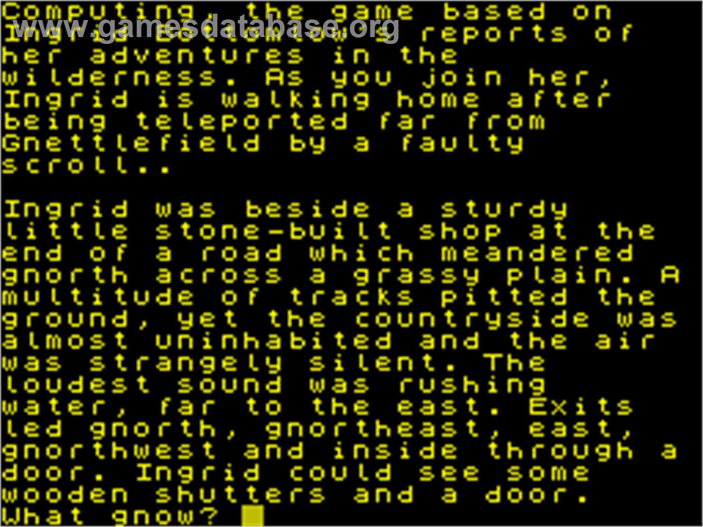 Gnome Ranger - Sinclair ZX Spectrum - Artwork - In Game