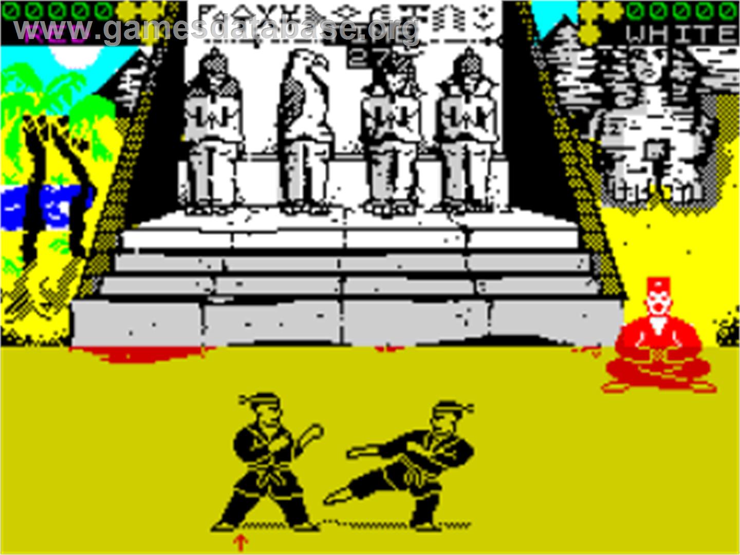 International Karate - Sinclair ZX Spectrum - Artwork - In Game