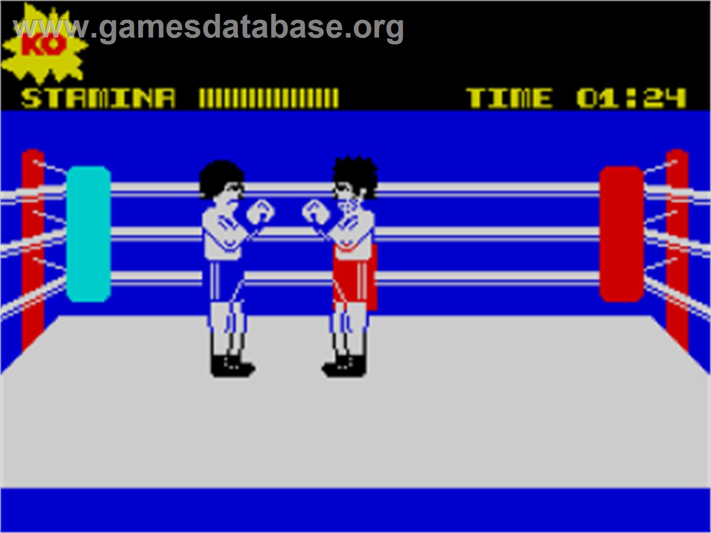 Knockout - Sinclair ZX Spectrum - Artwork - In Game