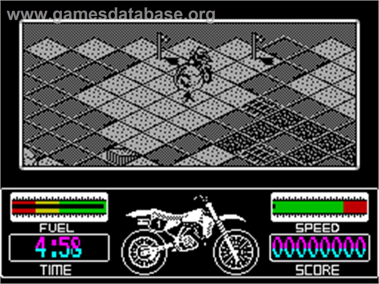 Motorbike Madness - Sinclair ZX Spectrum - Artwork - In Game