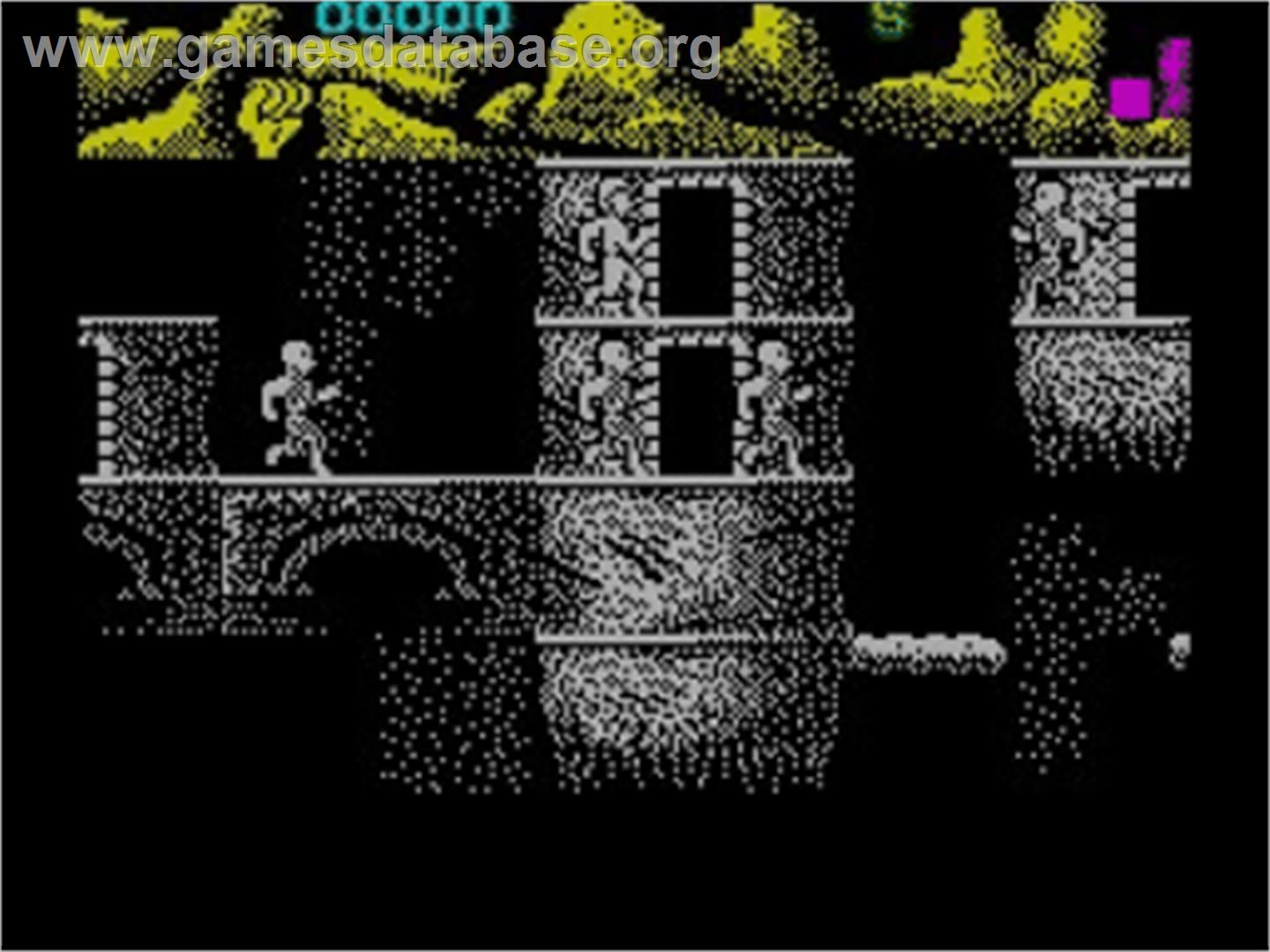 Ninja Commando - Sinclair ZX Spectrum - Artwork - In Game