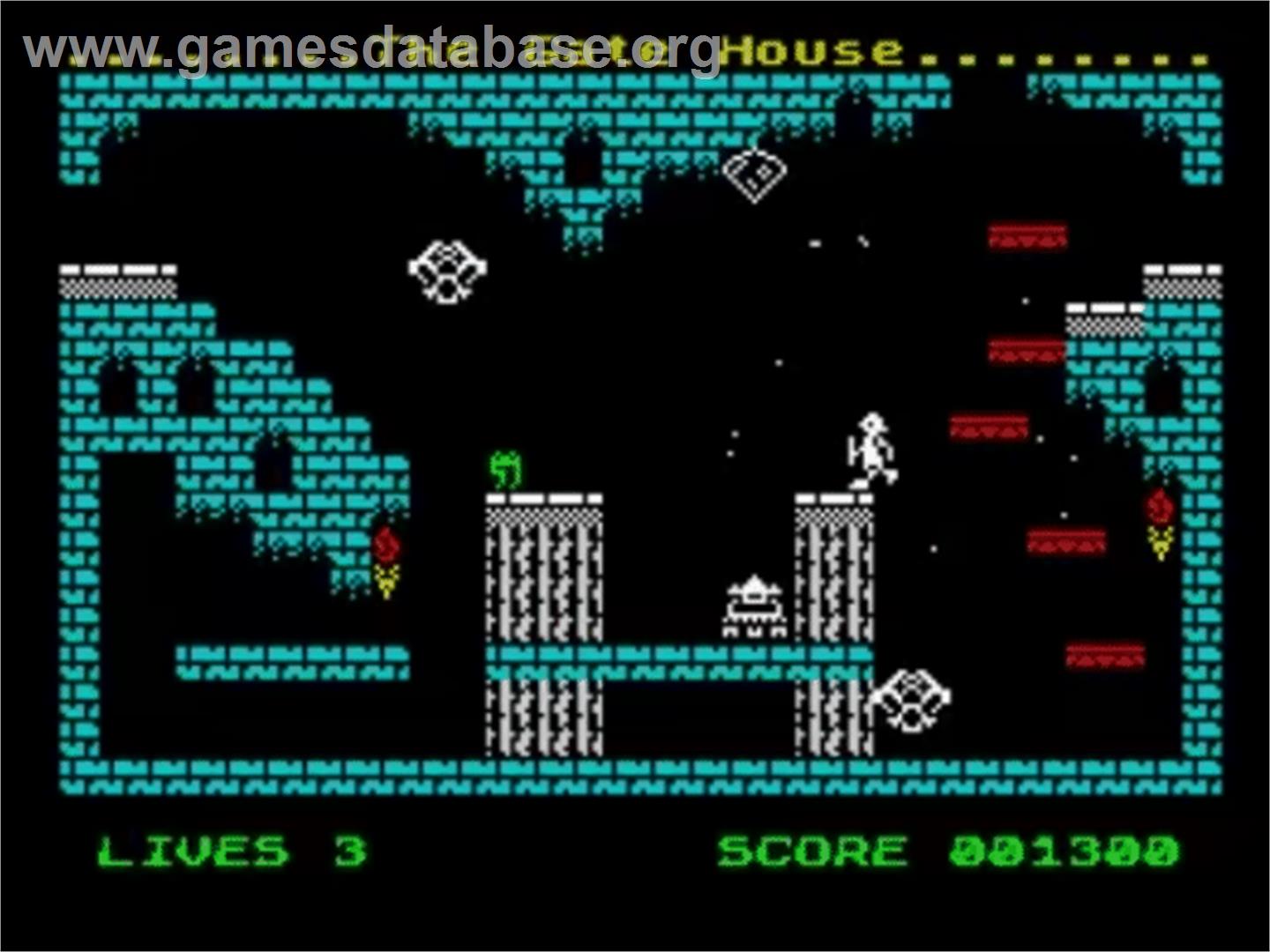Page's Castle Quest - Sinclair ZX Spectrum - Artwork - In Game