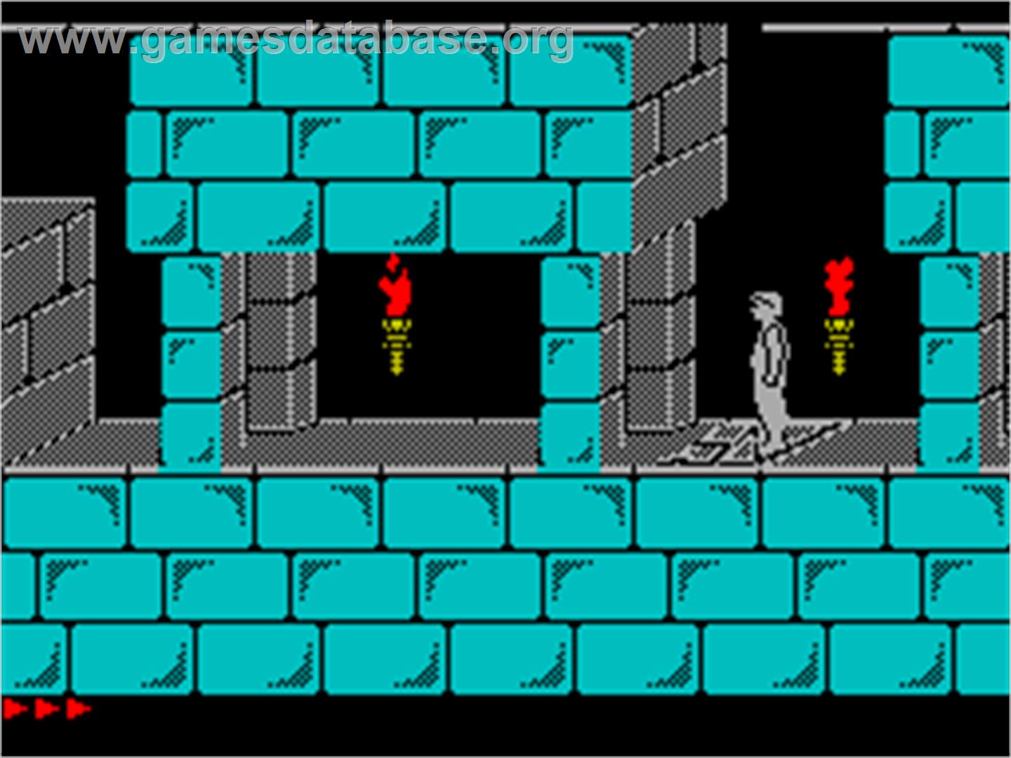 Prince of Persia - Sinclair ZX Spectrum - Artwork - In Game