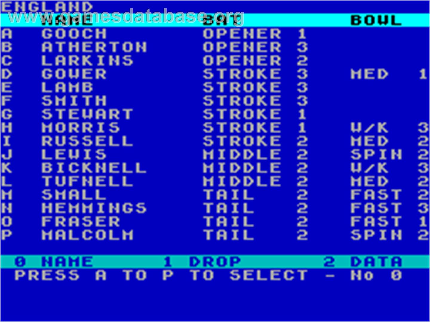 Robin Smith's International Cricket - Sinclair ZX Spectrum - Artwork - In Game