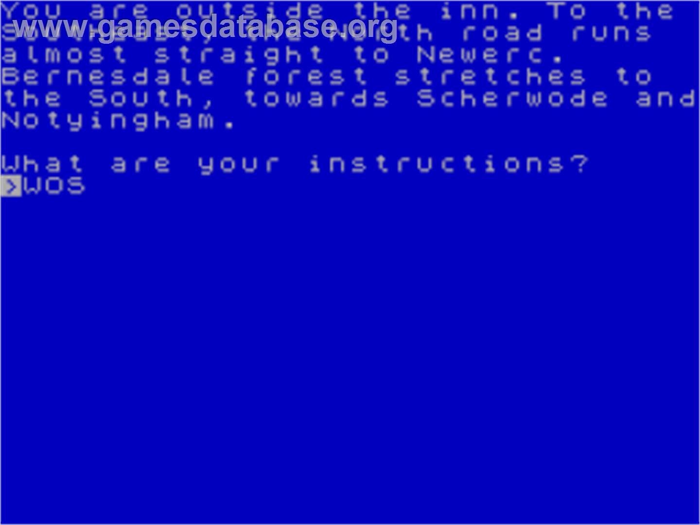 Robyn Hode - Sinclair ZX Spectrum - Artwork - In Game