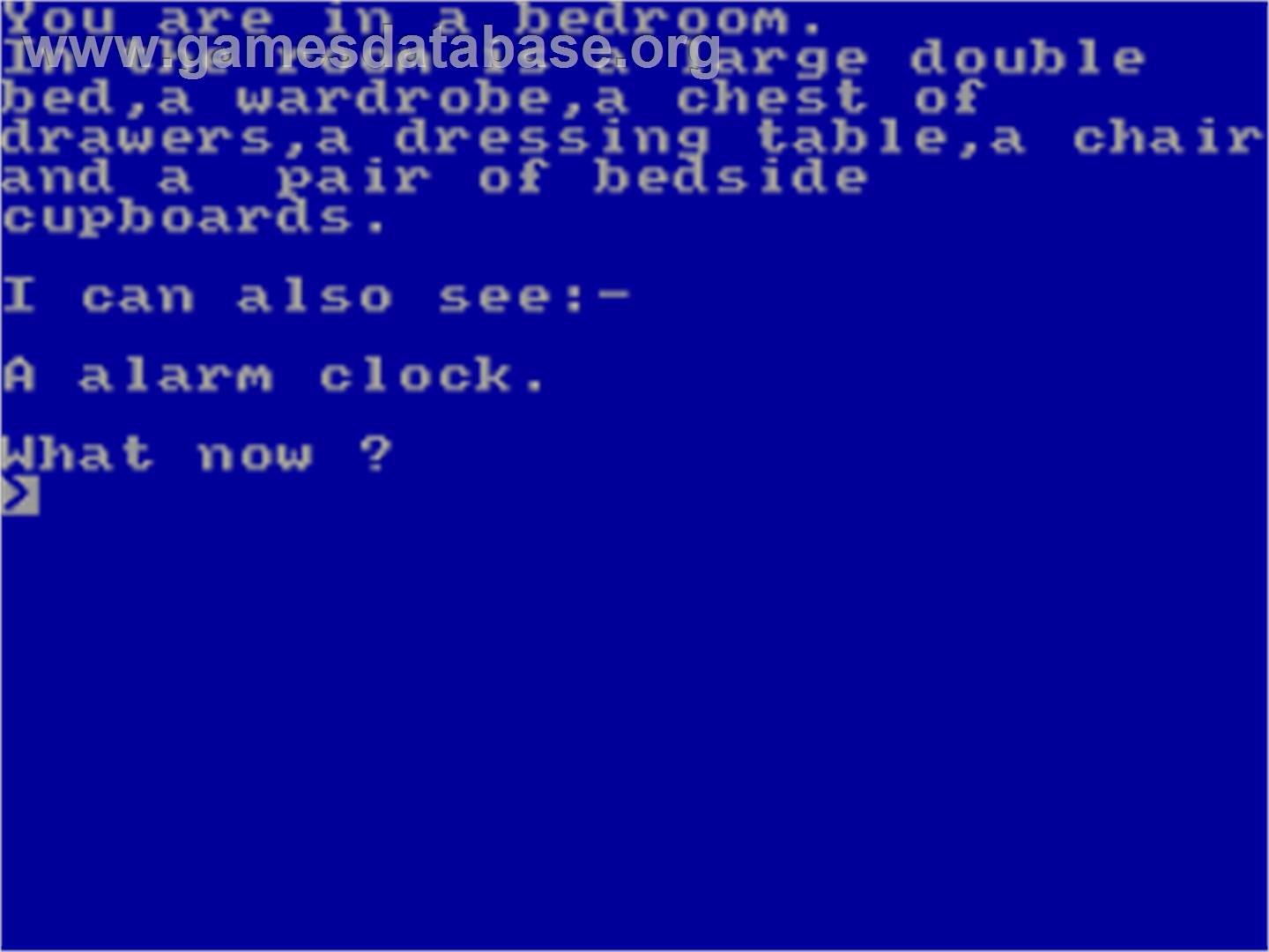Scoop - The Adventure - Sinclair ZX Spectrum - Artwork - In Game