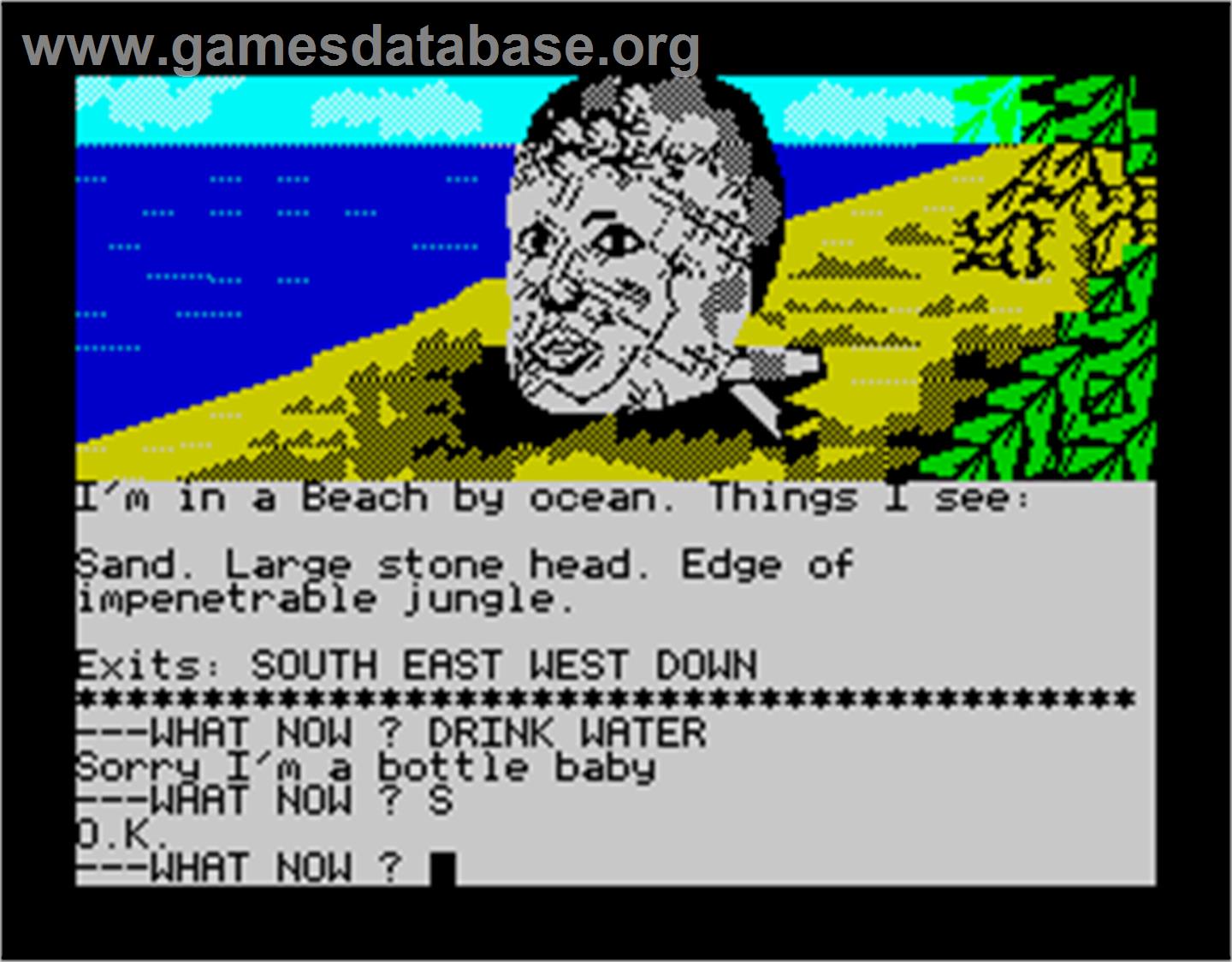 Scott Adams' Graphic Adventure #10: Savage Island Part One - Sinclair ZX Spectrum - Artwork - In Game