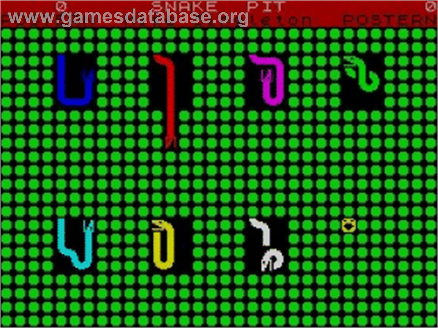 Snake Pit - Sinclair ZX Spectrum - Artwork - In Game