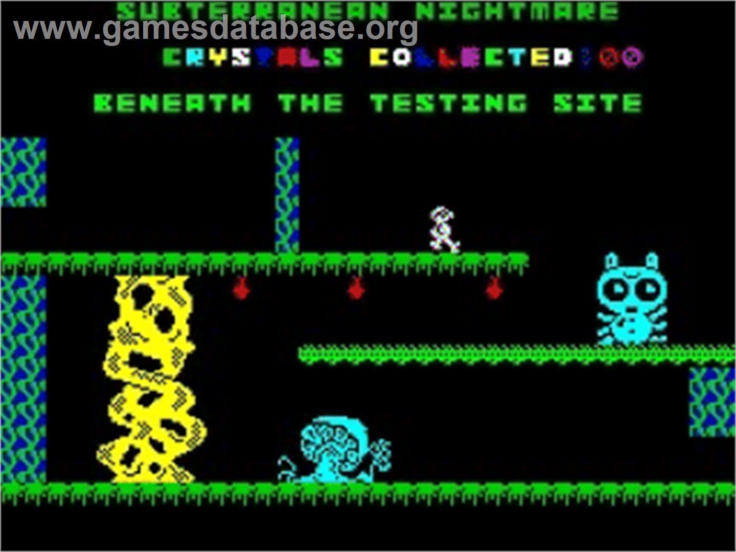 Subterranean Nightmare - Sinclair ZX Spectrum - Artwork - In Game