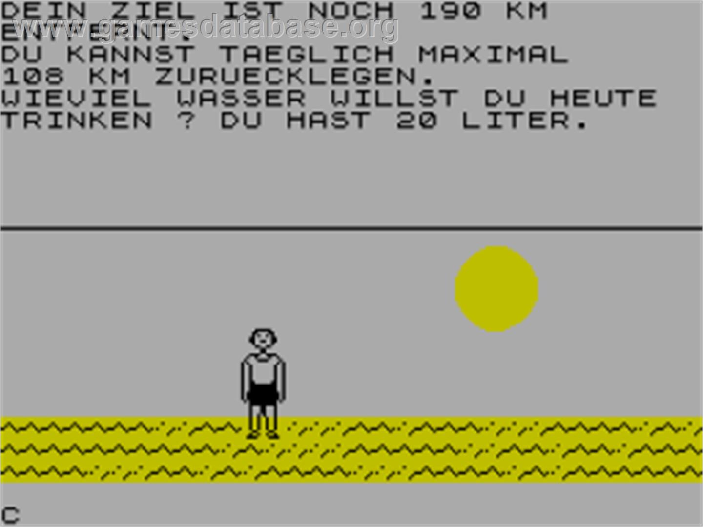 Survival - Sinclair ZX Spectrum - Artwork - In Game
