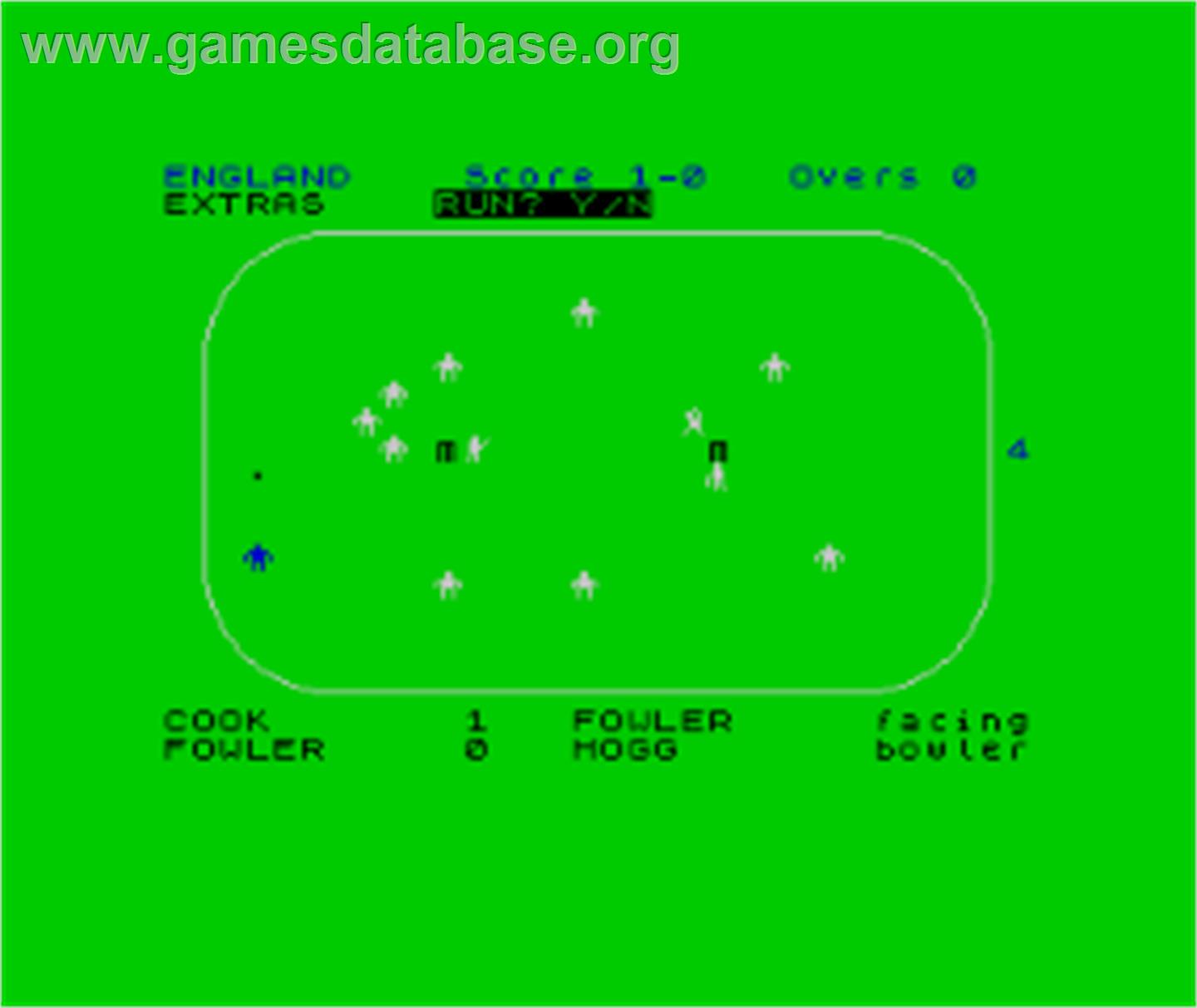Test Match - Sinclair ZX Spectrum - Artwork - In Game