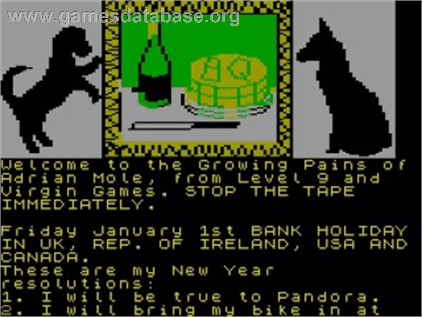 The Growing Pains of Adrian Mole - Sinclair ZX Spectrum - Artwork - In Game
