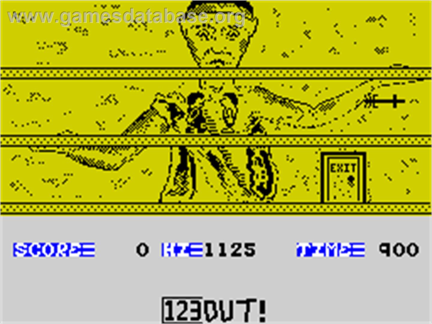The Ice Temple - Sinclair ZX Spectrum - Artwork - In Game