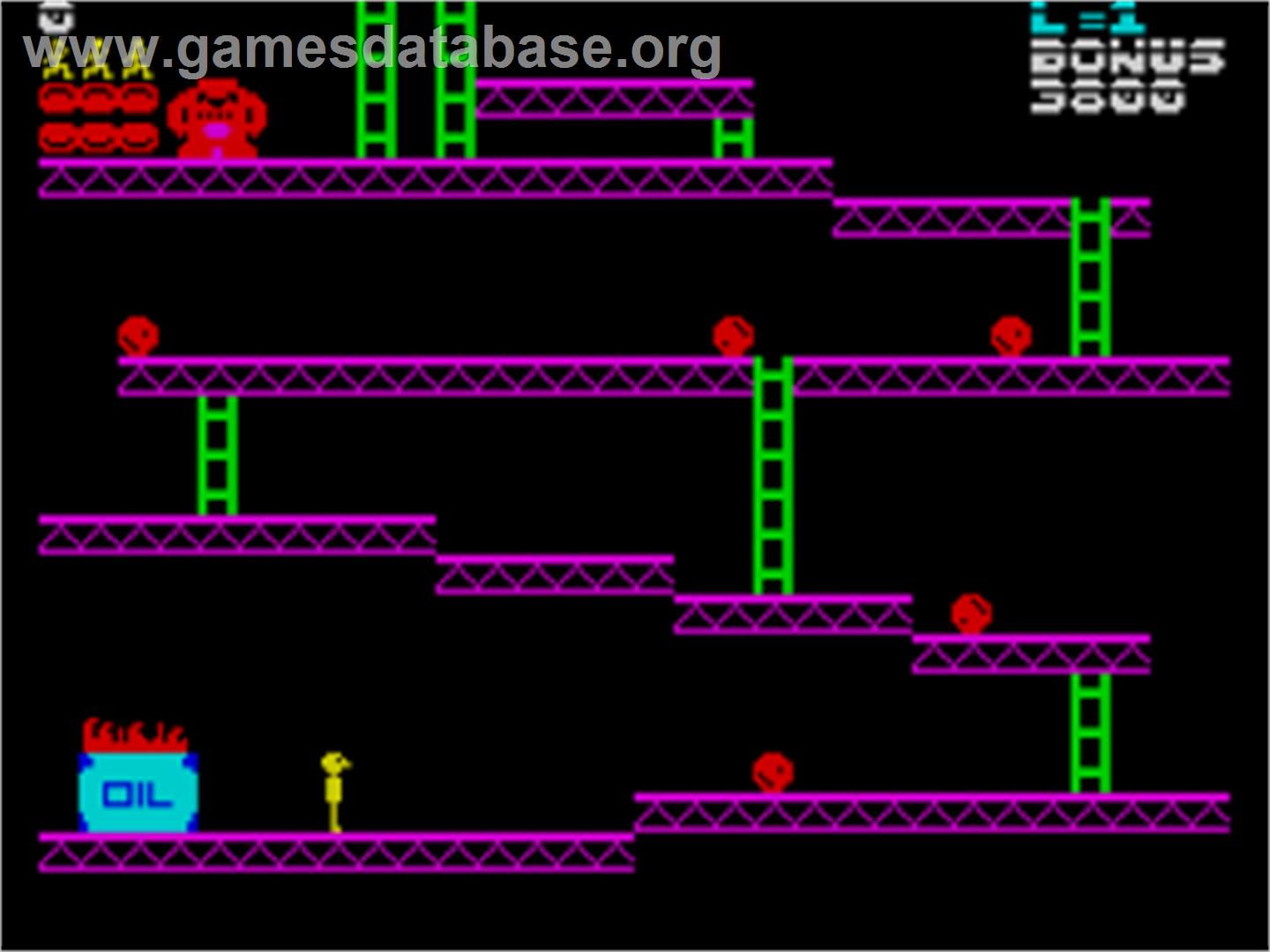 Wally Kong - Sinclair ZX Spectrum - Artwork - In Game