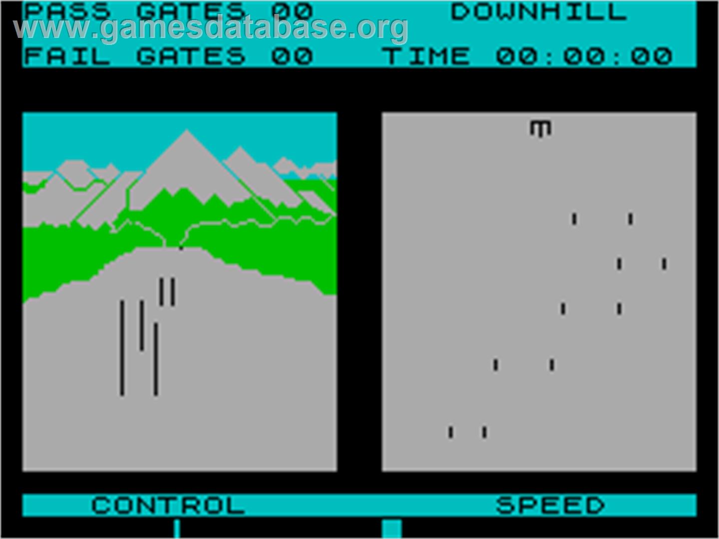 Winter Sports - Sinclair ZX Spectrum - Artwork - In Game