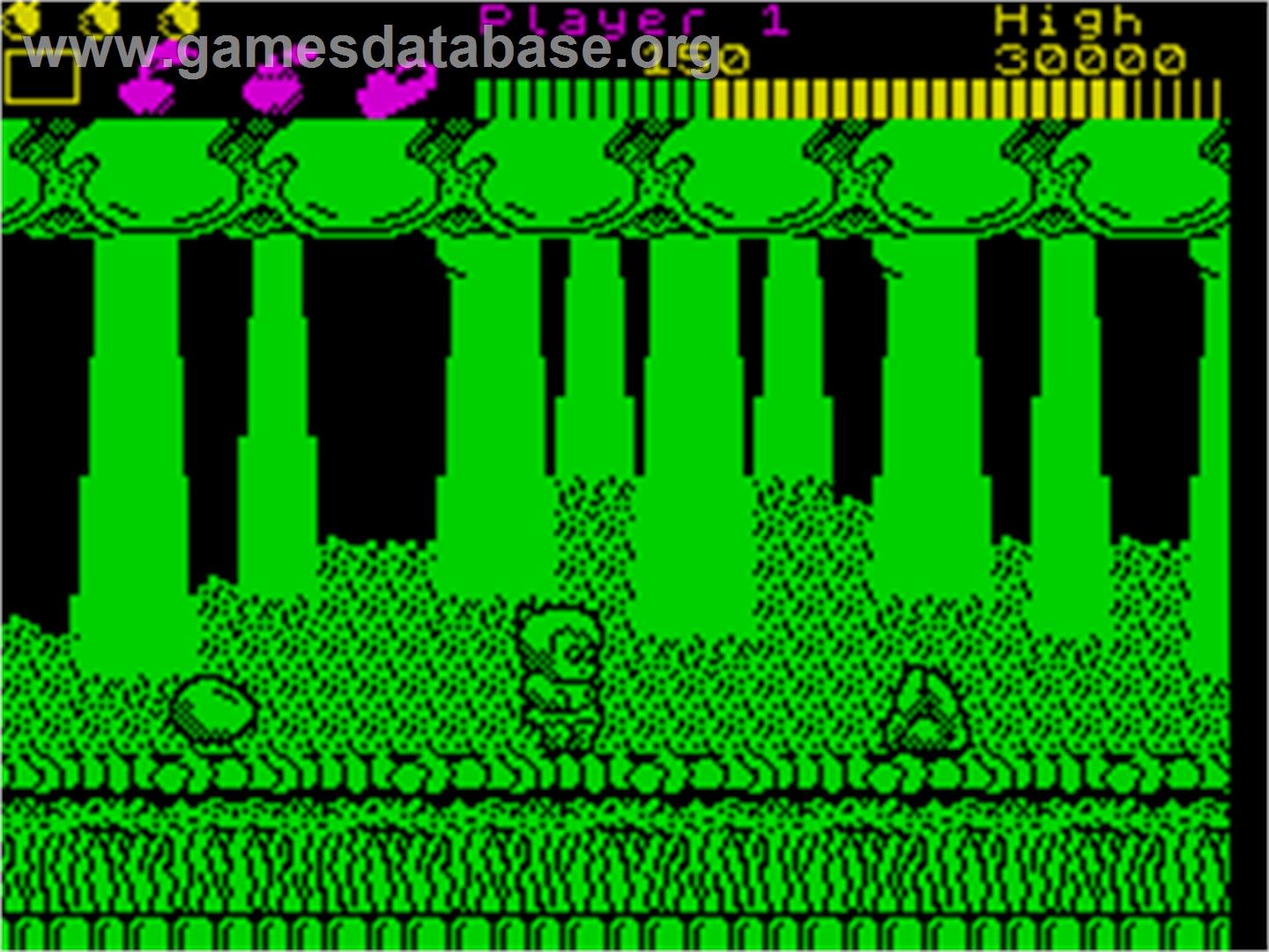 Wonder Boy - Sinclair ZX Spectrum - Artwork - In Game