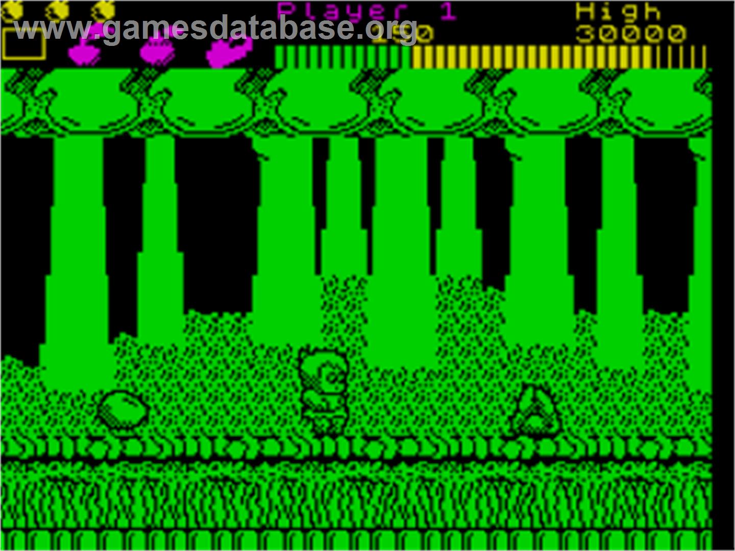 Wonder Boy - Sinclair ZX Spectrum - Artwork - In Game