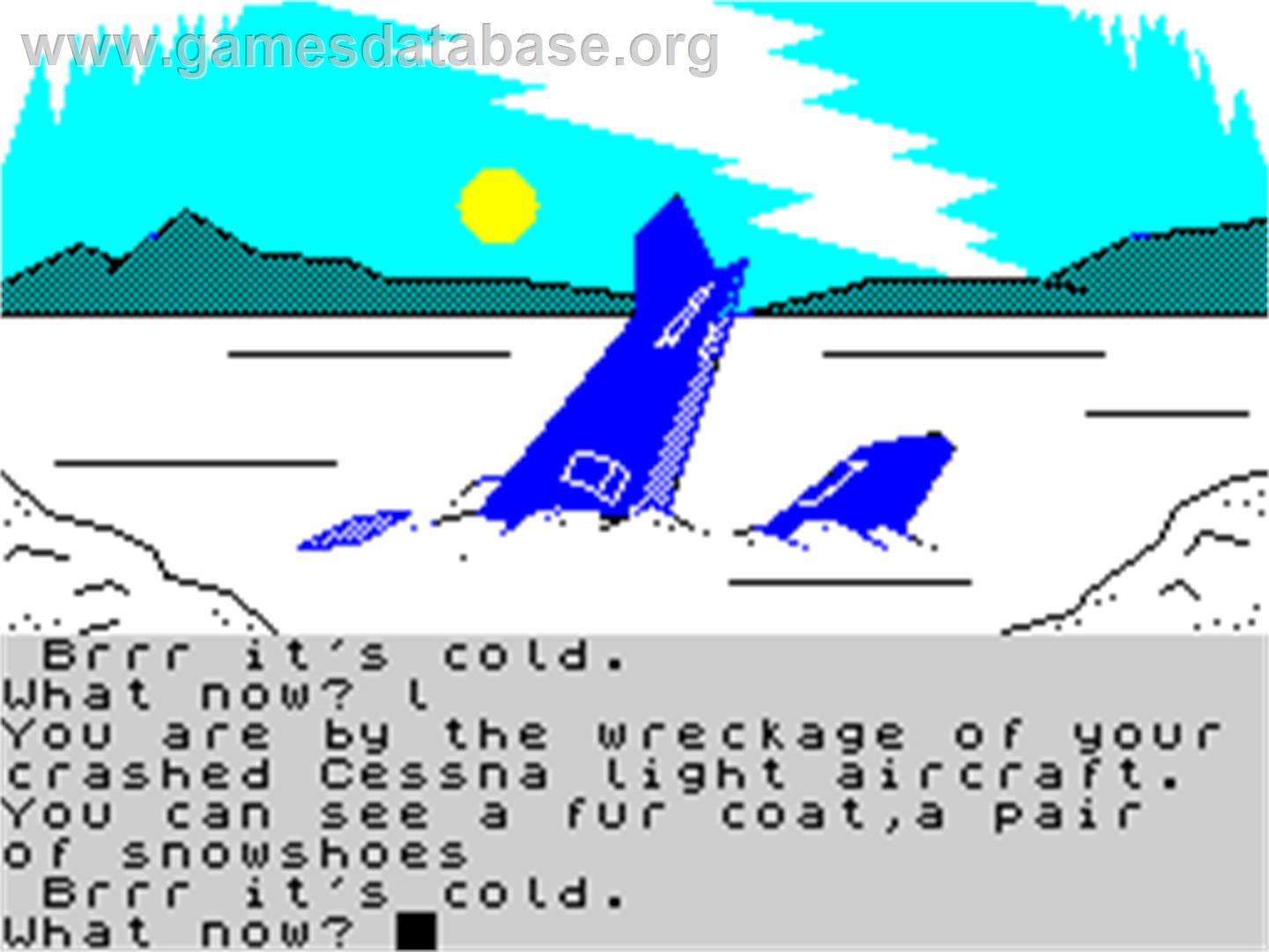 Wonder Boy in Monster Land - Sinclair ZX Spectrum - Artwork - In Game
