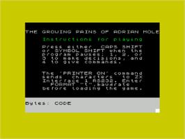 Title screen of The Growing Pains of Adrian Mole on the Sinclair ZX Spectrum.