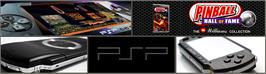 Arcade Cabinet Marquee for Pinball Hall of Fame: The Williams Collection.