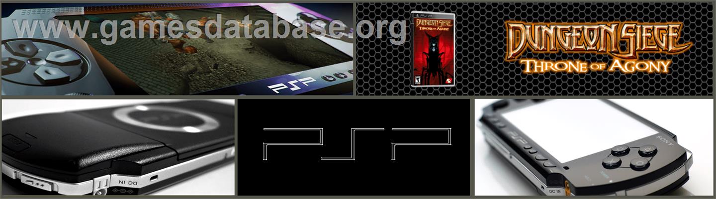 Dungeon Siege: Throne of Agony - Sony PSP - Artwork - Marquee
