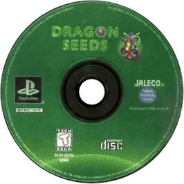 Cartridge artwork for Dragon Seeds on the Sony Playstation.