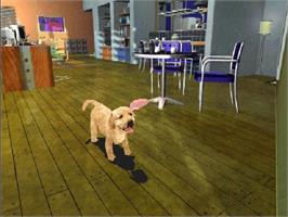 In game image of Pet In Tv - With My Dear Dog on the Sony Playstation.
