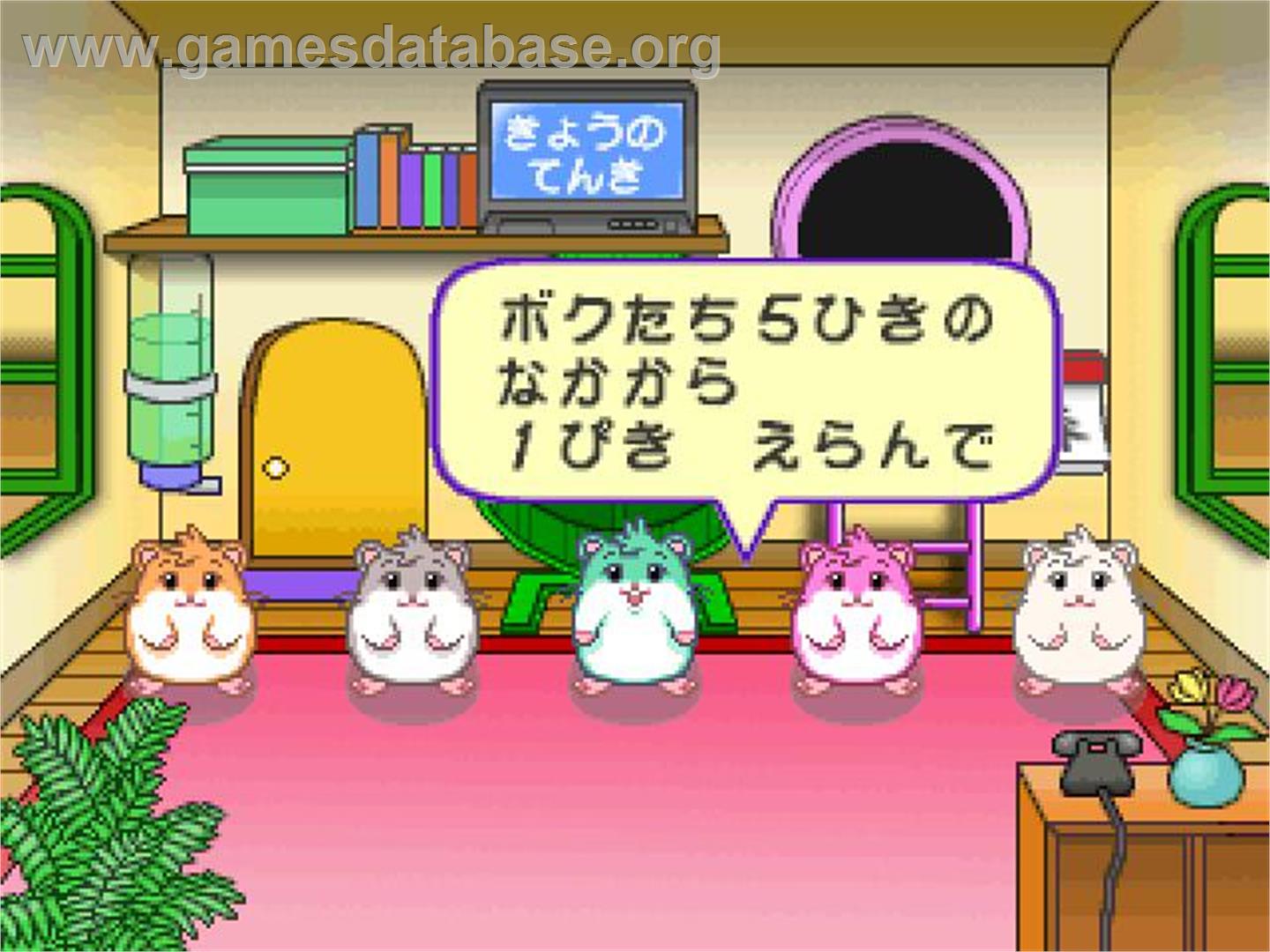 Hamster No Odekake - Sony Playstation - Artwork - In Game