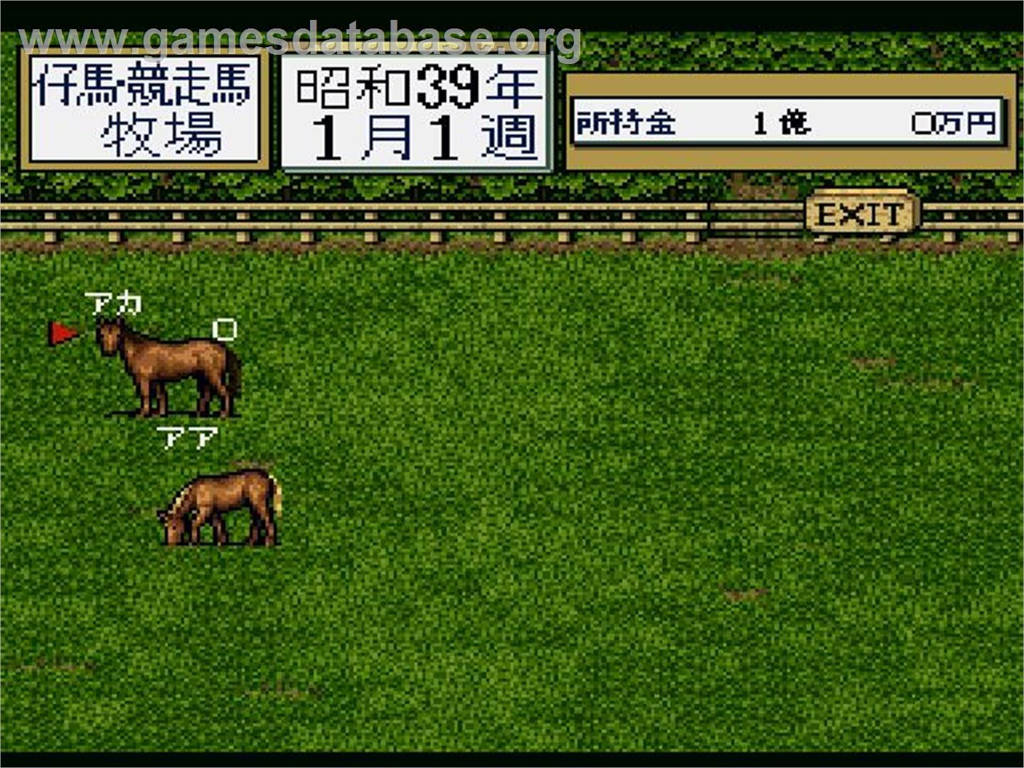Thoroughbred Breeder 2 Plus - Sony Playstation - Artwork - In Game