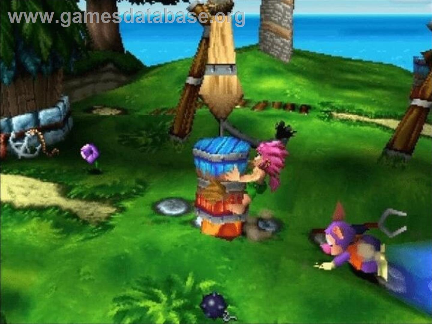 Tombi! 2 - Sony Playstation - Artwork - In Game