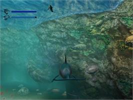 In game image of Ecco The Dolphin - Defender Of The Future on the Sony Playstation 2.