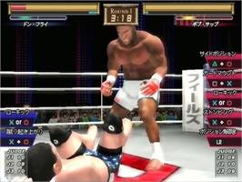 In game image of K-1 Premium 2005 Dynamite!! on the Sony Playstation 2.