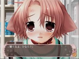 In game image of Pure Pure - Mimi to Shippo no Monogatari on the Sony Playstation 2.