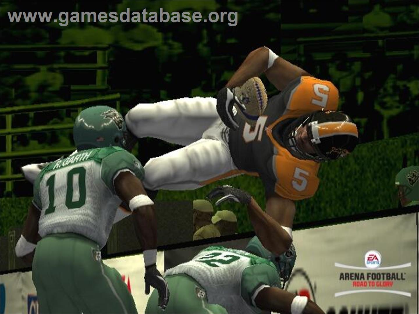 Arena Football - Sony Playstation 2 - Artwork - In Game