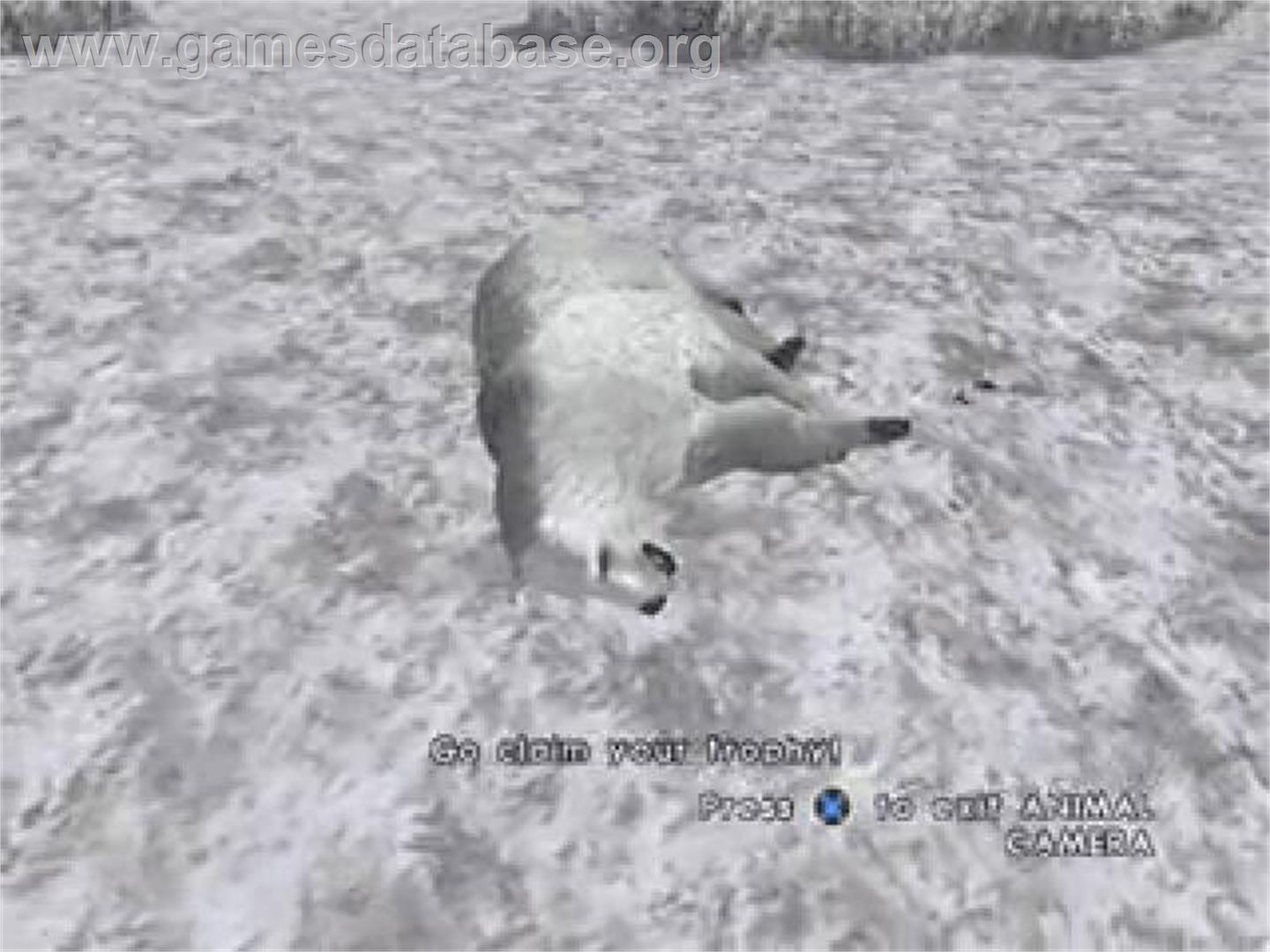 Cabela's Alaskan Adventures - Sony Playstation 2 - Artwork - In Game